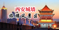 性感美女大骚逼肏中国陕西-西安城墙旅游风景区