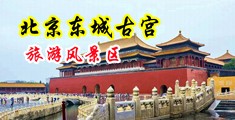 捅逼逼网站中国北京-东城古宫旅游风景区