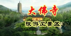 看b网站真人大秀在线观看中国浙江-新昌大佛寺旅游风景区